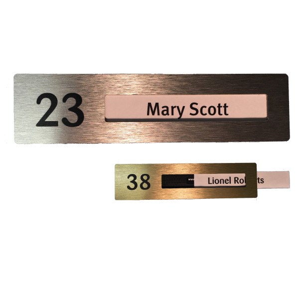 Mary-Scott-1-