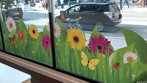 window-graphics-by-display-signs
